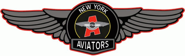 New York Aviators 201011 Primary Logo iron on transfers for clothing
